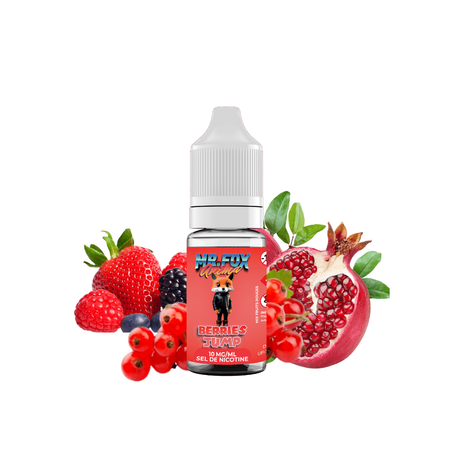 Berries Jump Sel de nicotine - MR FOX ANIMA