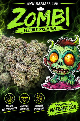 Zombi BLUEBBERRY KUSH DC ( FLEURS )