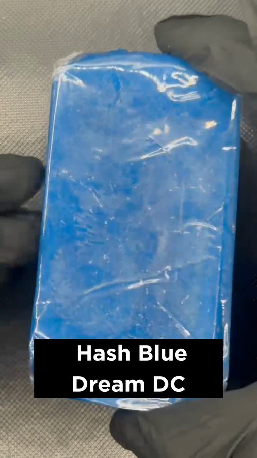 Hash Blue Dream DC - Misterflower