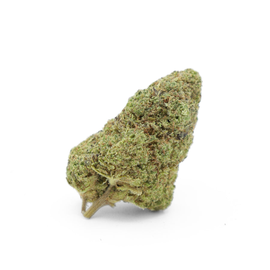 Fleur de CBD Red Veynom HYDRO CS - Misterflower