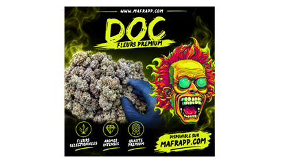 Doc YELLOW GELATO OG KUSH ( FLEURS )