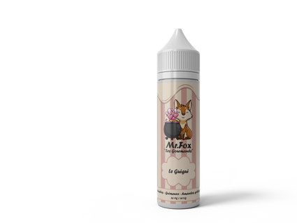 LE GUIGUI - MR FOX